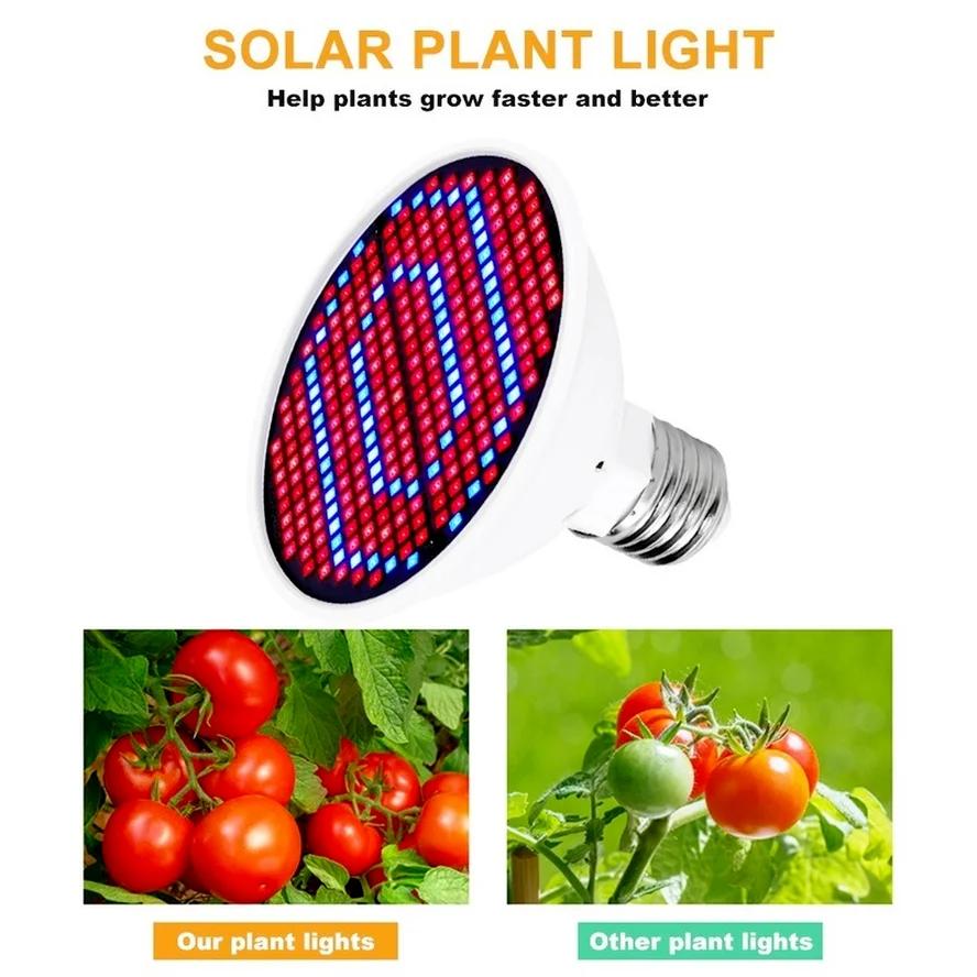 Selling Plant Growth Lamp Cup Red and Blue Full Spectrum Indoor Planting E27 Multi-specification Lamp Beads 2835 Photosynthesis