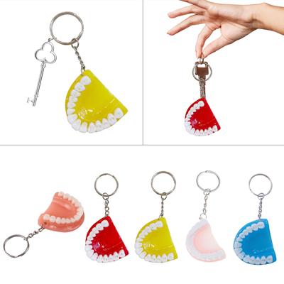 Mini Resin Tooth Model Shape Keychain Purse Handbags Charm Pendant Denture Keychain Bag Decoration Hanging Ornament