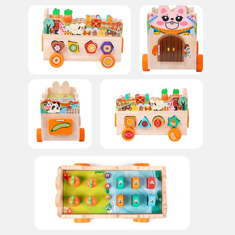 Farm Themed Animal Wooden Brain Teaser Puzzle For Preschool Games Educational