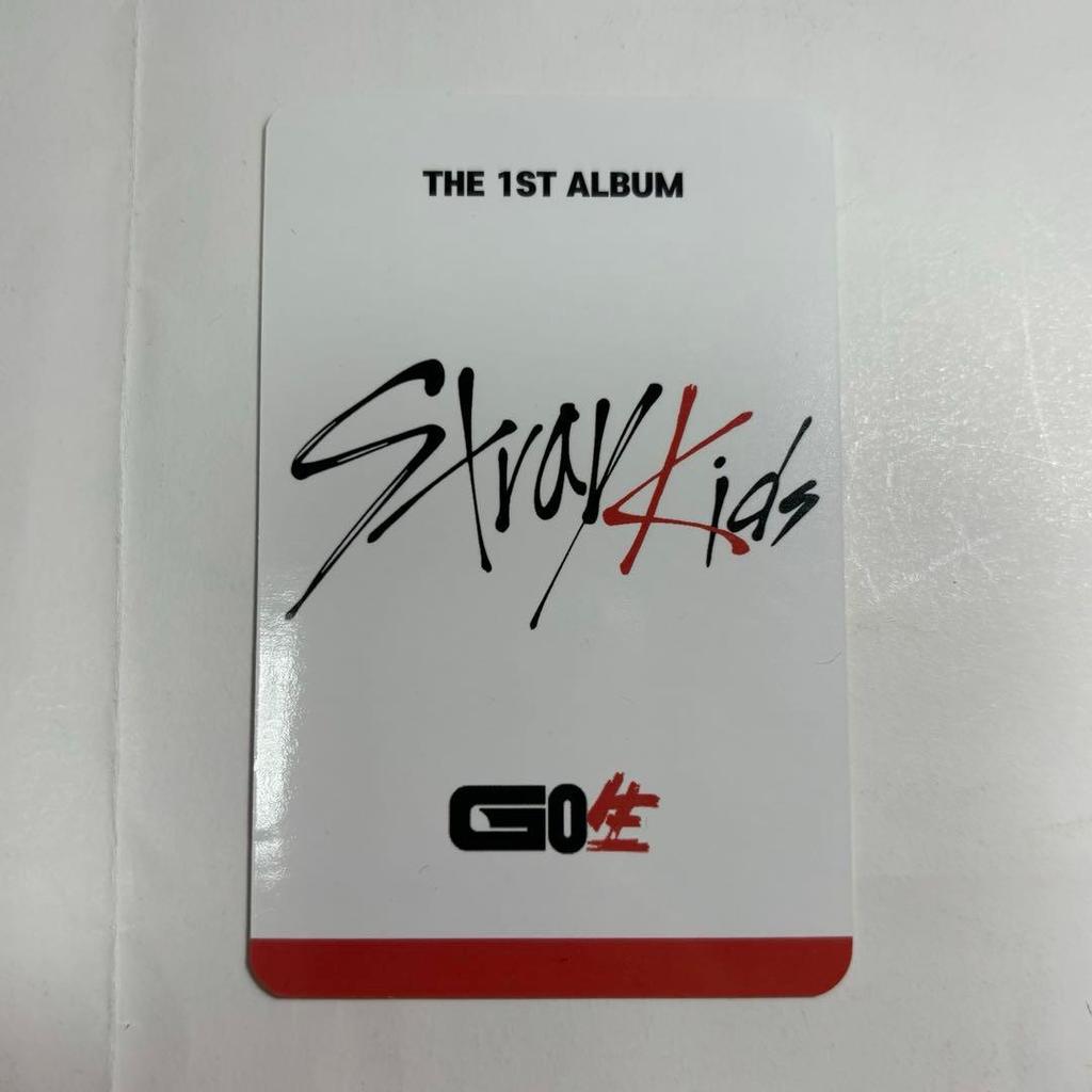 [USED] Stray Kids Changbin GO Raw Trading Card Subk Bonus Photo Card