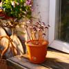 Weather Resistant Iron Mushroom Stake Garden Ground Stake with Antique Rusty Designs Outdoor Yard Landscaping Decoration