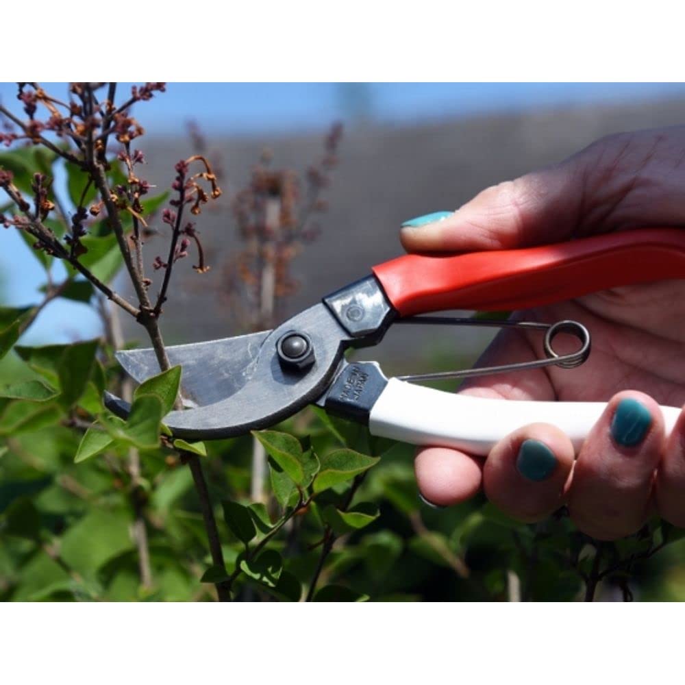 Okatsune Unikalne Nożyce do Przycinania 210mm 104, (Blister) Nie.