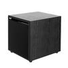 SAST Home KTV 10-inch Active Subwoofer CN Plug (adapter Included)