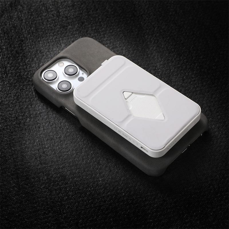 iPhone 17 Pro Max Magnetic Lambskin-Texture Case & Skin