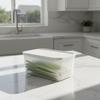Sealed Refrigerator Storage Box Fresh Keeping Clear Food Container BPA Free for Kitchen Fridge Organization