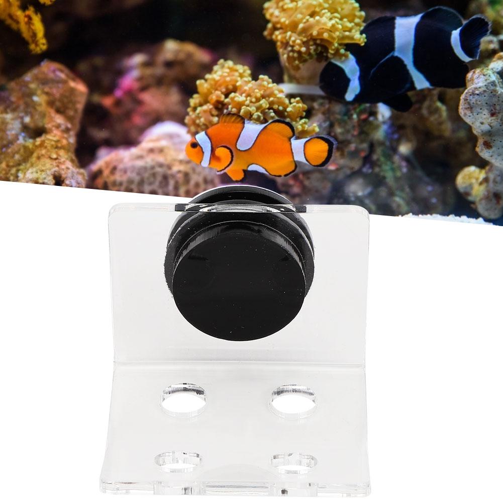 Aquarium Meerwasser Korallen Racks Halterung Halter Fischtank Knopfrahmen Verbesserter Saugfuß 4 Löcher