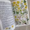 [USED] 1980, Plenty of illustrations, over 3000 items, Marjorie Blamey's Alpine Plant Encyclopedia