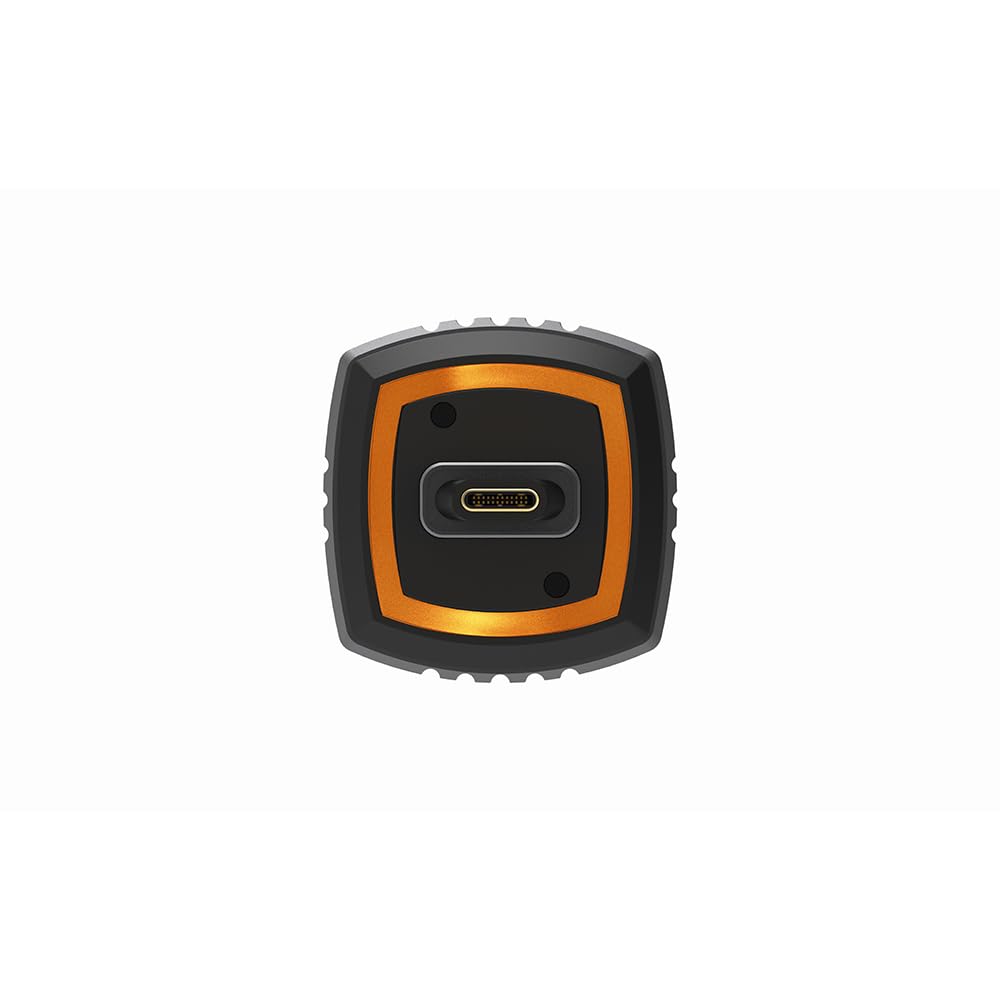 SilentPower Pulsar USB from an Authorized Japanese Conditioner [Ships Retailer] SLP-PULSAR-USB Type-C