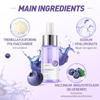 Blueberry Serum Face Care Hluboce hydratační esence redukuje vrásky na obličeji Péče o pleť Zlepšuje pleť obličeje