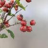 Large Simulation Hawthorn Branch with Single Stem and Fruit for Vase Decoration and Floral Art Props