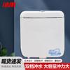 Bingyu Wall-Mounted Toilet Tank