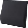 EXGEL Hug Drive Lumbar Pad Standard, Black, W290 X D50 X H255mm, HUD25-BK