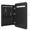 VidaXL Armoire de salle de bain à miroir LED Noir 60x11x80 cm 326503