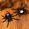 Halloween Spider Decoration Prank Toy Realistic Plastic Spider Hanging Ornament LED Light Up Black Spider Prop