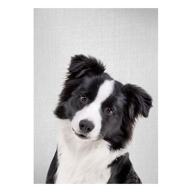 Realistic Furry Animals Cute Prints Poster Canvas Painting Hd Modern Wall Art Pictures For Living Room Bedroom Home Decoration