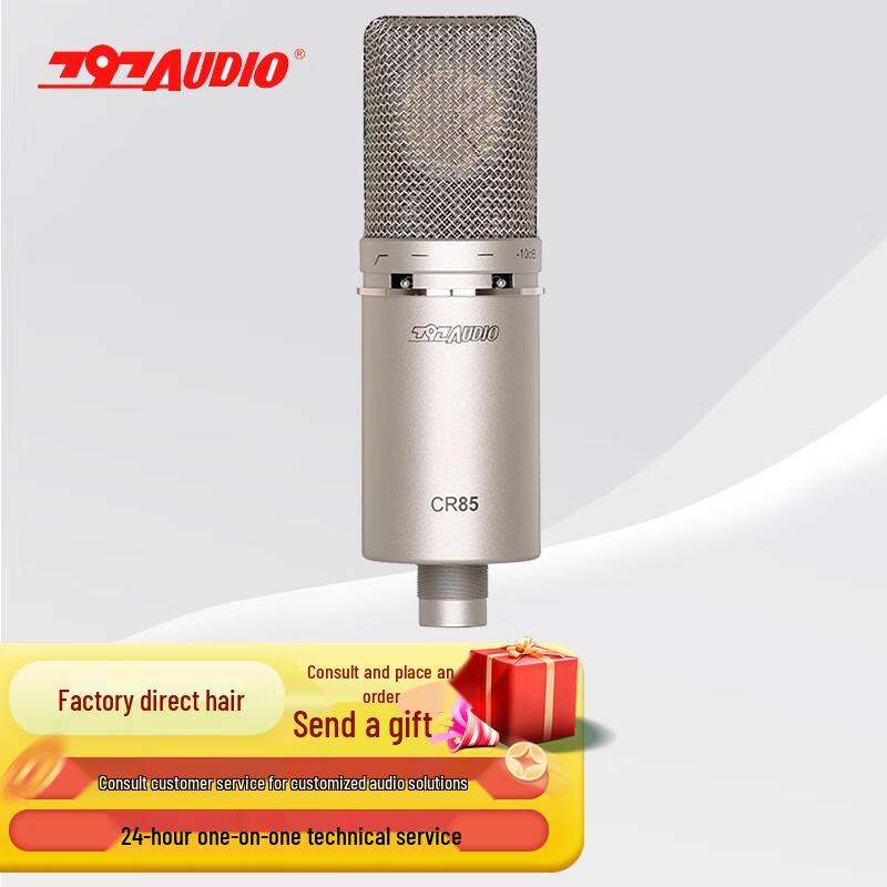797audio Professional Recording & Interview Microphones (CN version)