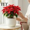 Große weiße Pflanzgefäße für Zimmerpflanzen Blumentopf mit Rautenprägung, Robuster Pflanztopf Moderne minimalistische Töpfe Fensterbank Außenpflanzen,