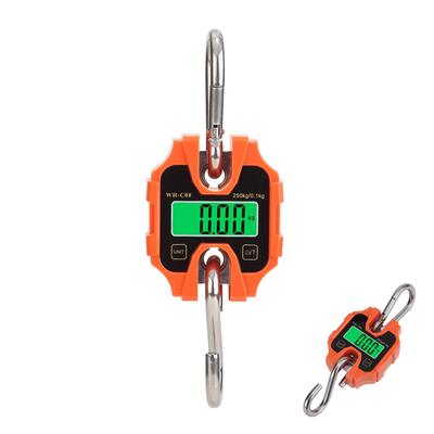 Crane Scale 100kg/250KG Heavy Duty Hanging Hook Scales Portable Digital Stainless Steel Agricultural Weight Steelyard Balance