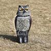 Realistic Bird Scarer Rotating Head Sound Owl Prowler Decoy Protection Repellent