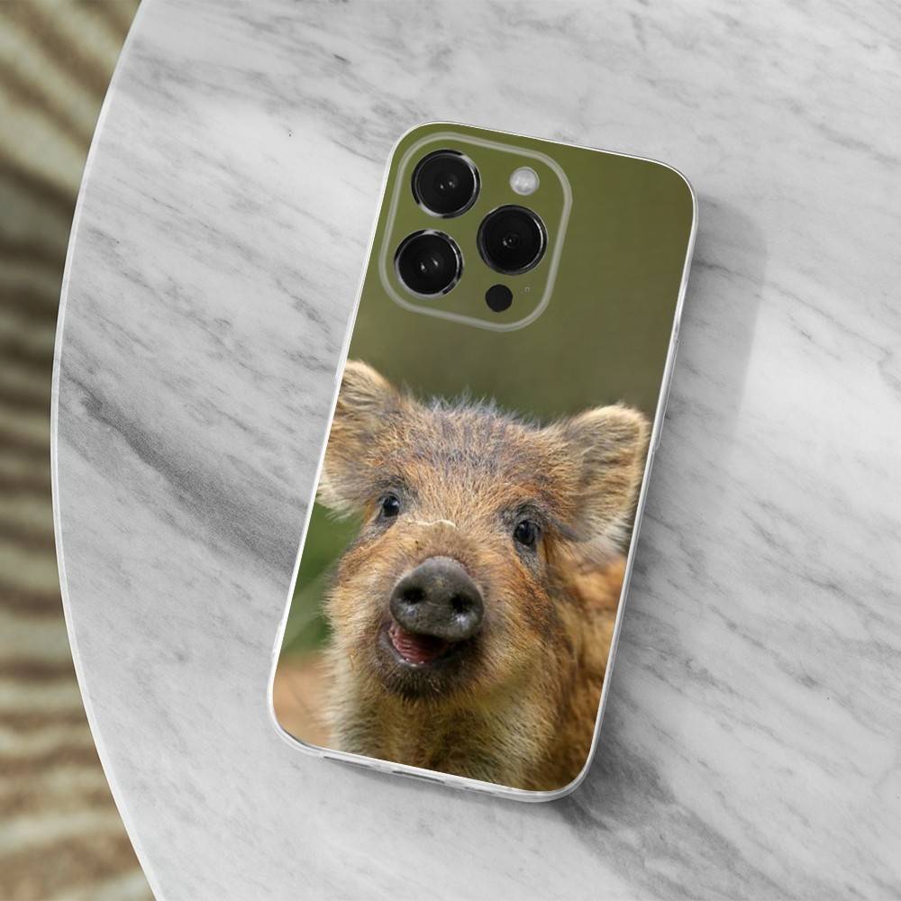 Cute Wild Boar Animal Phone Case For iPhone,14,13,12,15,Pro,Max,Plus,11,17,16,X,XS,XR,SE,Mini Transparent Soft Cover