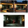 Halloween Door with Skeleton Design - Outdoor for Party Decor
