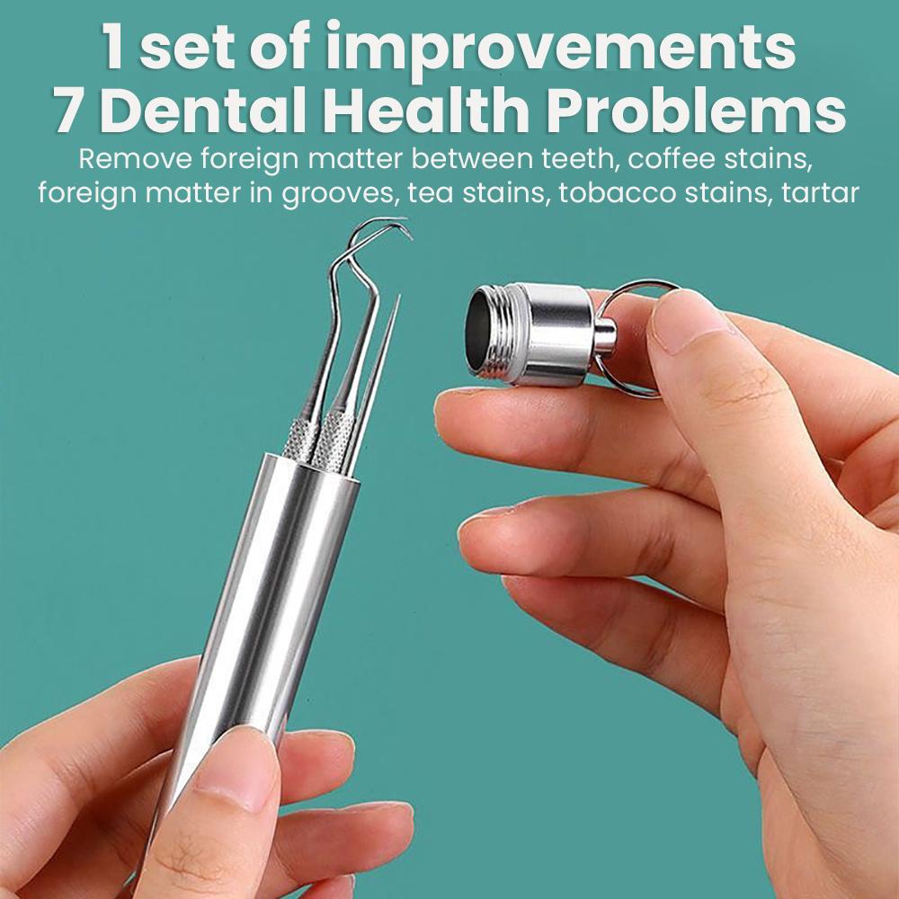 Toothpick Tool Stainless Steel Toothpick Needle Stick Portable Dental Cleaning Tool Set 304 Metal