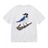 Men's Comfortable Breathable Comfy Classic T-Shirt Blue Jay Bird Graphic Tee