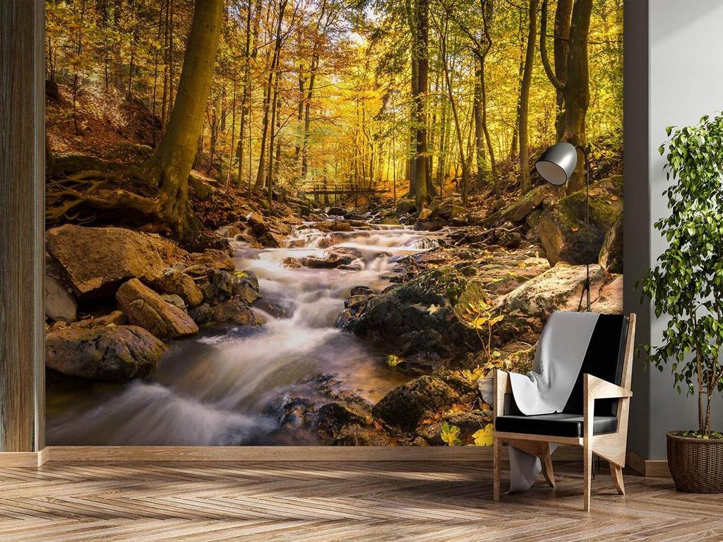 Wallpaper Forest Stream In Autumn