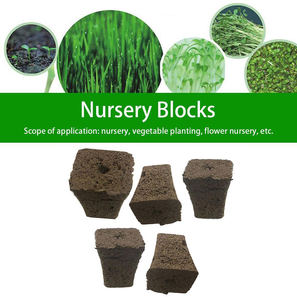 

Совершенно новые сменные губки для выращивания 30 мм * 35 мм * 20 мм для сухой обработки сфагнового торфа