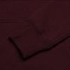 Converse Sweatshirt Women's Red Brown 10004543-A03