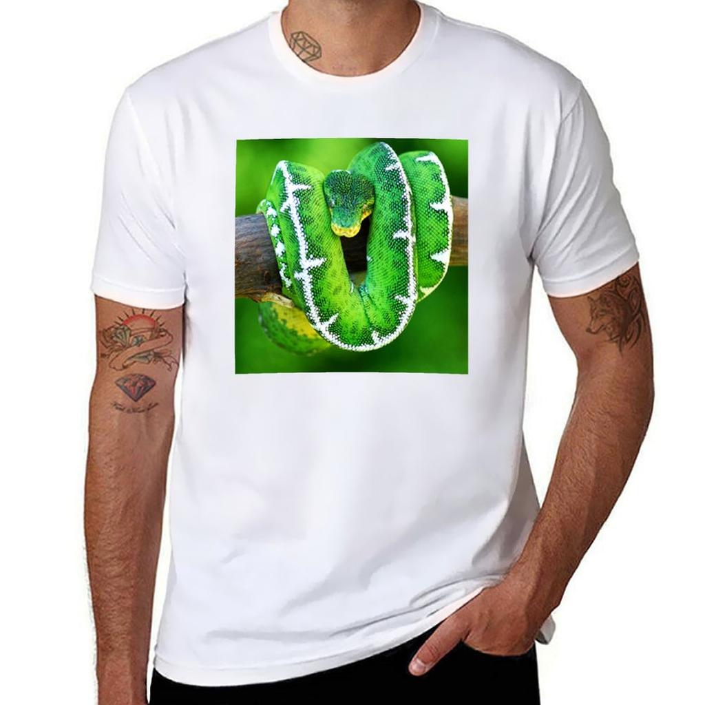 EMERALD TREE BOA T-Shirt Herren T-Shirt Designer lustige T-Shirts Baumwoll-T-Shirt Individueller Druck T-Shirt