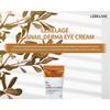 LEBELAGE - Dr. Snail Derma Eye Cream
