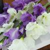 84cm Artificial Gladiolus Branch Real Touch Fake Flowers  Wedding Room Decoration