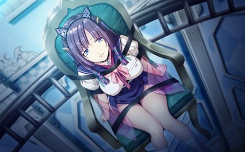 Fantasy Prison Kaleidoscope 2 - Switch [Amazon.co.jp Exclusive Goods Set] Includes Original Acrylic Panel & [Amazon.co.jp Exclusive Bonus] Original Ca