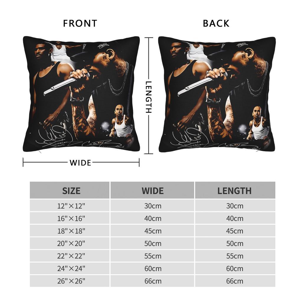 Pillow Cover Chris Brown And Usher The Rb Tour Raymond And Brown Funny Pillow Case For Office Car Home Decor Pillowcases