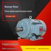 Wannan Motor TYCP2 Serie Dreiphasen-Frequenzumrichter-PMS-Motor