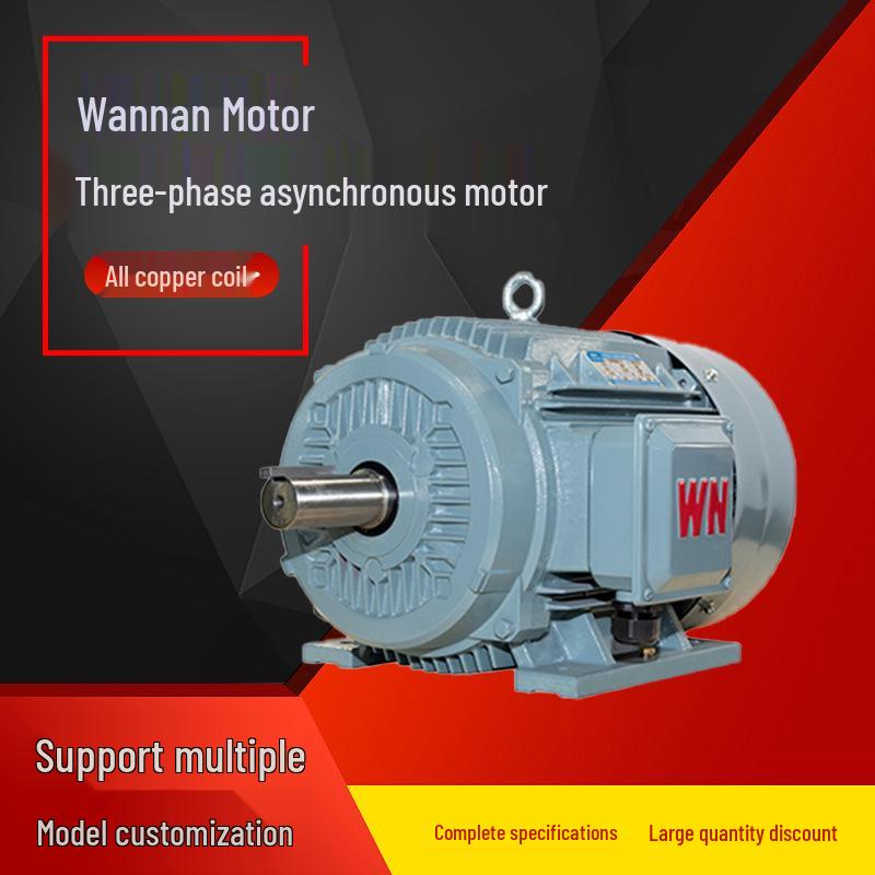 Wannan Motor TYCP2 Serie Dreiphasen-Frequenzumrichter-PMS-Motor