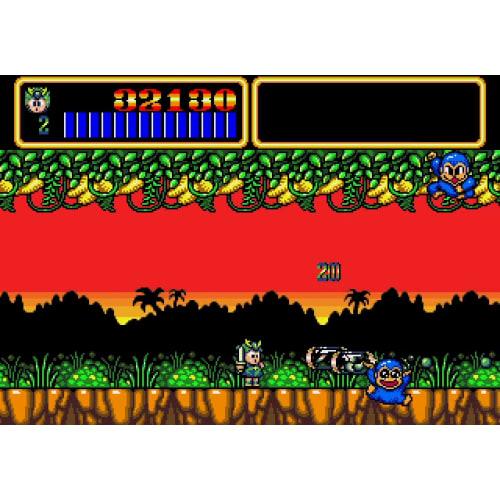 SW Version Wonder Boy Ultimate Collection Regular Version