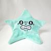 Twinkling Star Meteor Plush Toy with Light and Music, Glow-in-the-Dark Singing Plush Keychain, Cute Gift