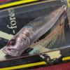 Megabass POP-X Amber Medusa Limited Color 64mm 1 4oz Unopened JAPAN