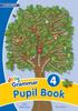 The Grammar 4 Pupil Book : In Print Letters (British English Edition) Book