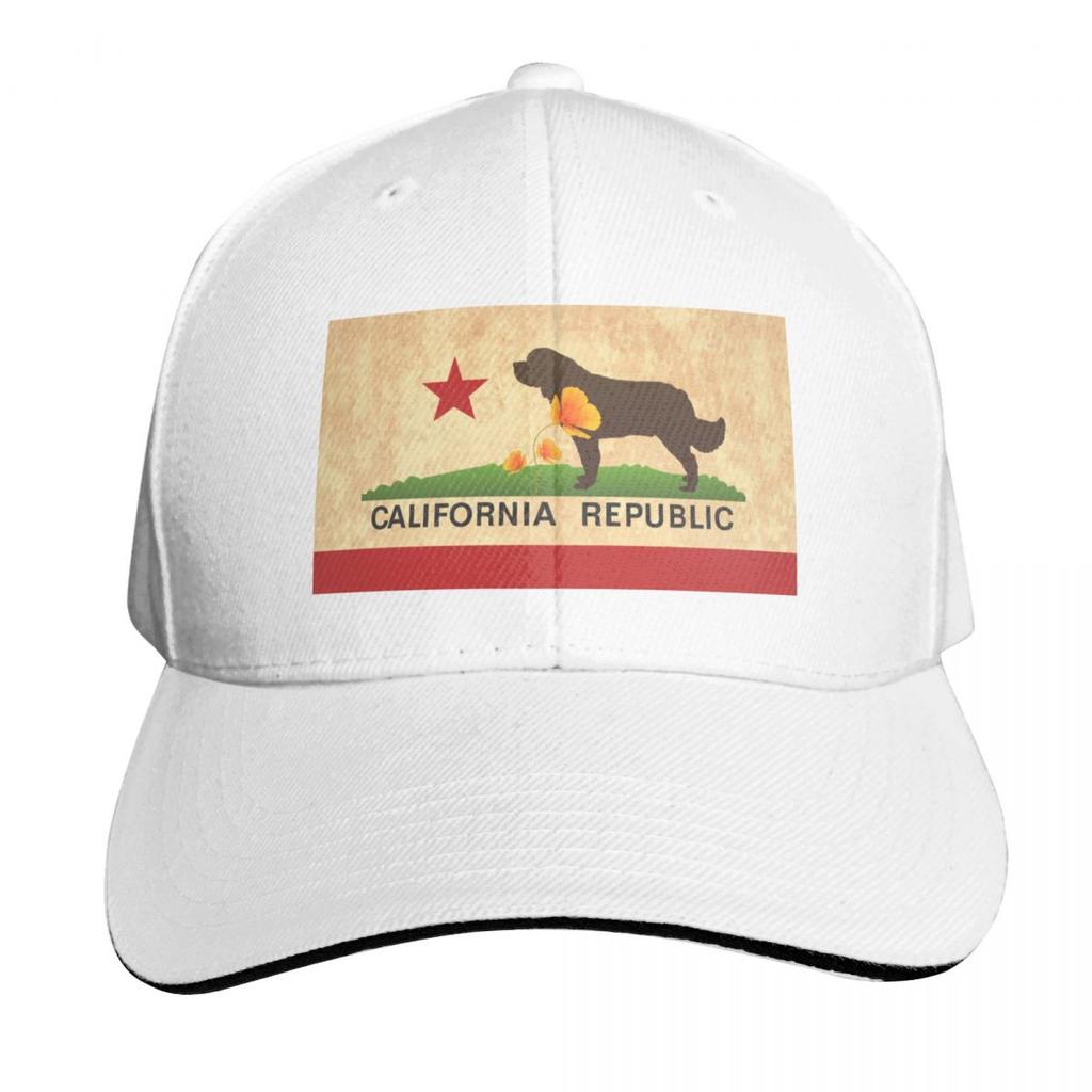 California Flag Face Mask Baseball Cap Golf sun hat hiking hat tactical cap Ladies Unisexs