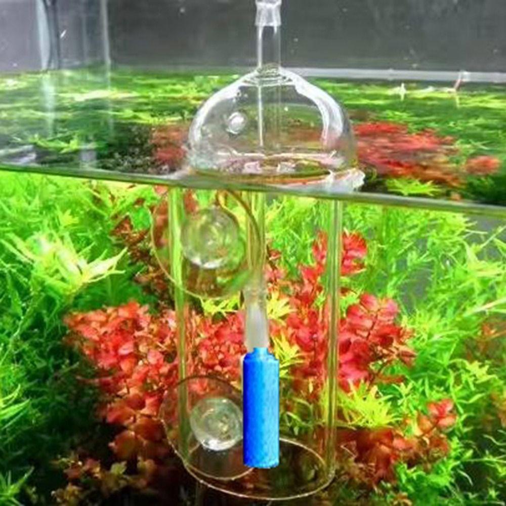 Anti-Splash Design Fish Tank Oxygen Aerator Transparent Glass Air Stone  Water Grass Tank