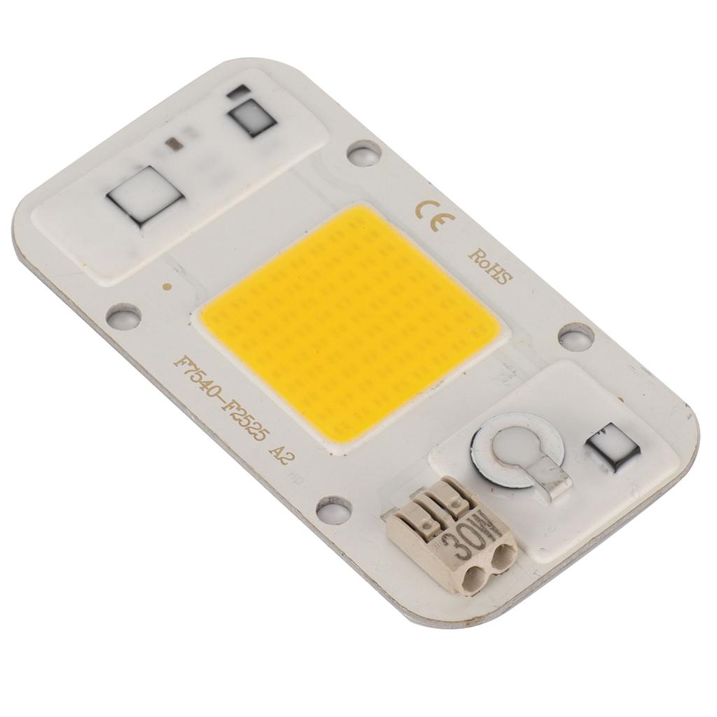 220V High Pressure Free Drive Light Source 30W LED Chip Integrated Lamp Bead for Plant Growth Light