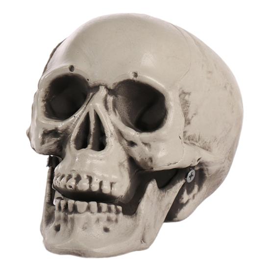 Halloween Skull Head Decor Plastic Realistic Human Skull Figurine for Graveyard Scene Haunted House Bar Home Table Decorations