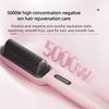 Hair Straightener Negative Ion Straightening Comb - 5000W Ionic Hair Straightener Brush with Ceramic Heating for Frizz Control