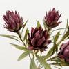Floral Display Artificial Emperor Protea Flowers Large Faux Thistle Flowers  Wedding Decoration