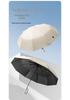 New Arrival Auto Open Password Lock Umbrella – Secure & Anti-Lost for Men & Women, Customizable for Advertisements