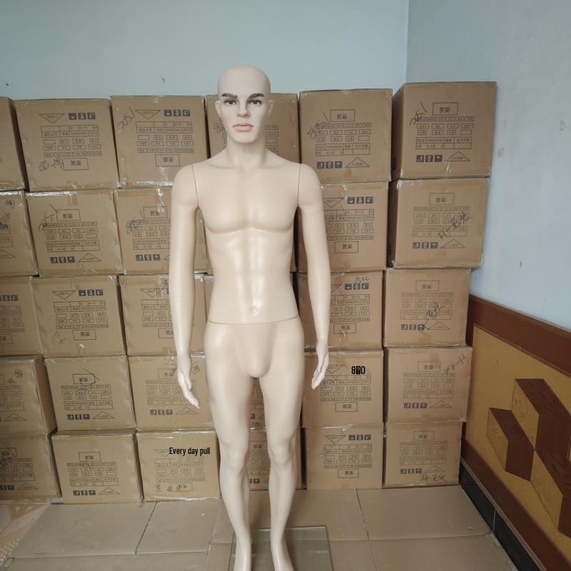 Standing Male Mannequin with Facial Features for Clothing Display