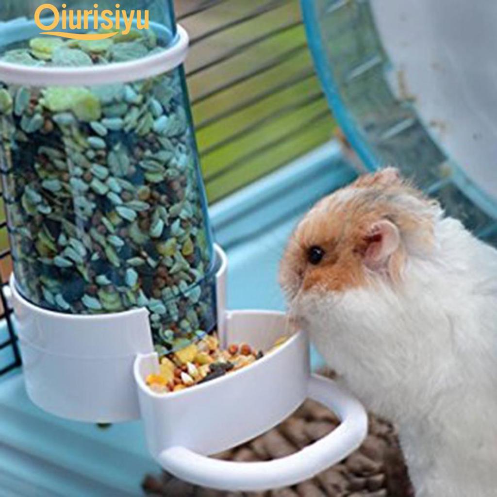 hamster auto feeder